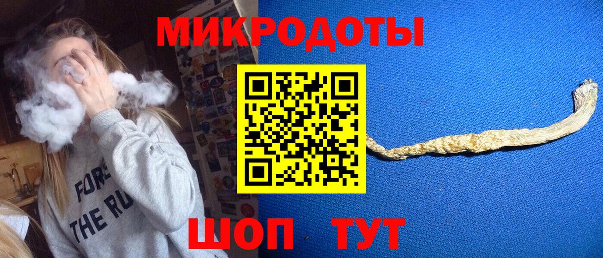 Псилоцибиновые грибы Psilocybe Симферополь