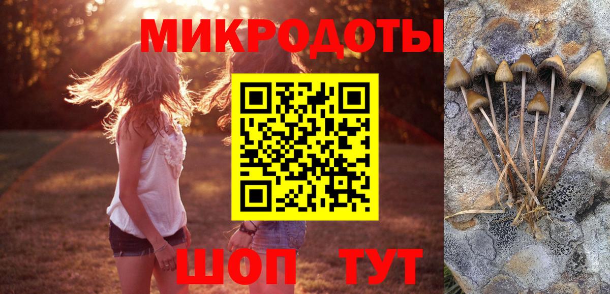 Галлюциногенные грибы Magic Shrooms  Вход с VPN  Симферополь 