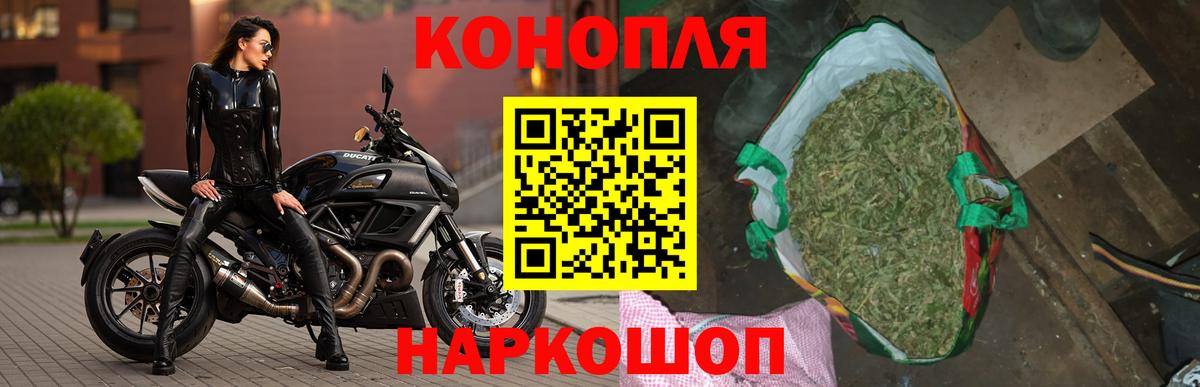 Конопля гибрид Симферополь